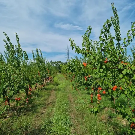 Vakantieboerderij Corte Bottura *
