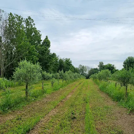 Corte Bottura Farm stay