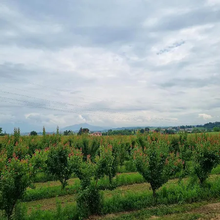 Corte Bottura Farm stay